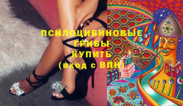 spice Володарск