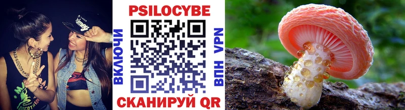 как найти закладки  Поворино  Псилоцибиновые грибы GOLDEN TEACHER 